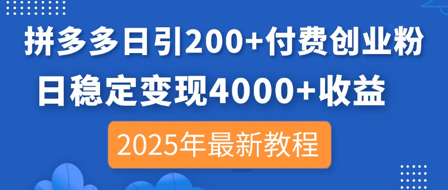 (14217期)拼多多日引200+付费创业粉,日稳定变现4000+收益,2025年最新教程-青年云网创—高质量项目商城