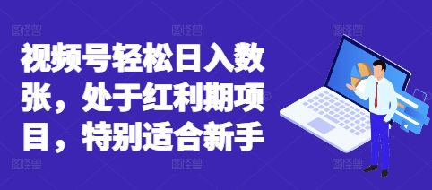 视频号轻松日入数张，处于红利期项目，特别适合新手-青年云网创—高质量项目商城