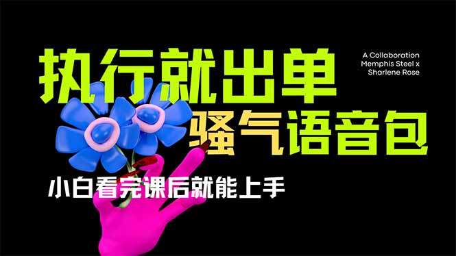 (14170期)爆火全网的开车导航骚气语音包,只要执行就出单,小白看完课程就能实操...-青年云网创—高质量项目商城