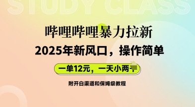哔哩哔哩暴力拉新:2025年新风口,一单12元,一天数张(附开白渠道和保姆级教程)-青年云网创—高质量项目商城