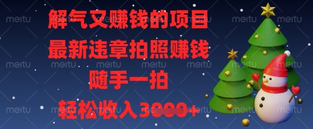 解气又挣钱的项目,最新违章拍照挣钱,随手一拍,轻松收入数张【揭秘】-青年云网创—高质量项目商城